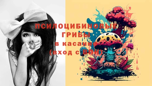 амф Алексин